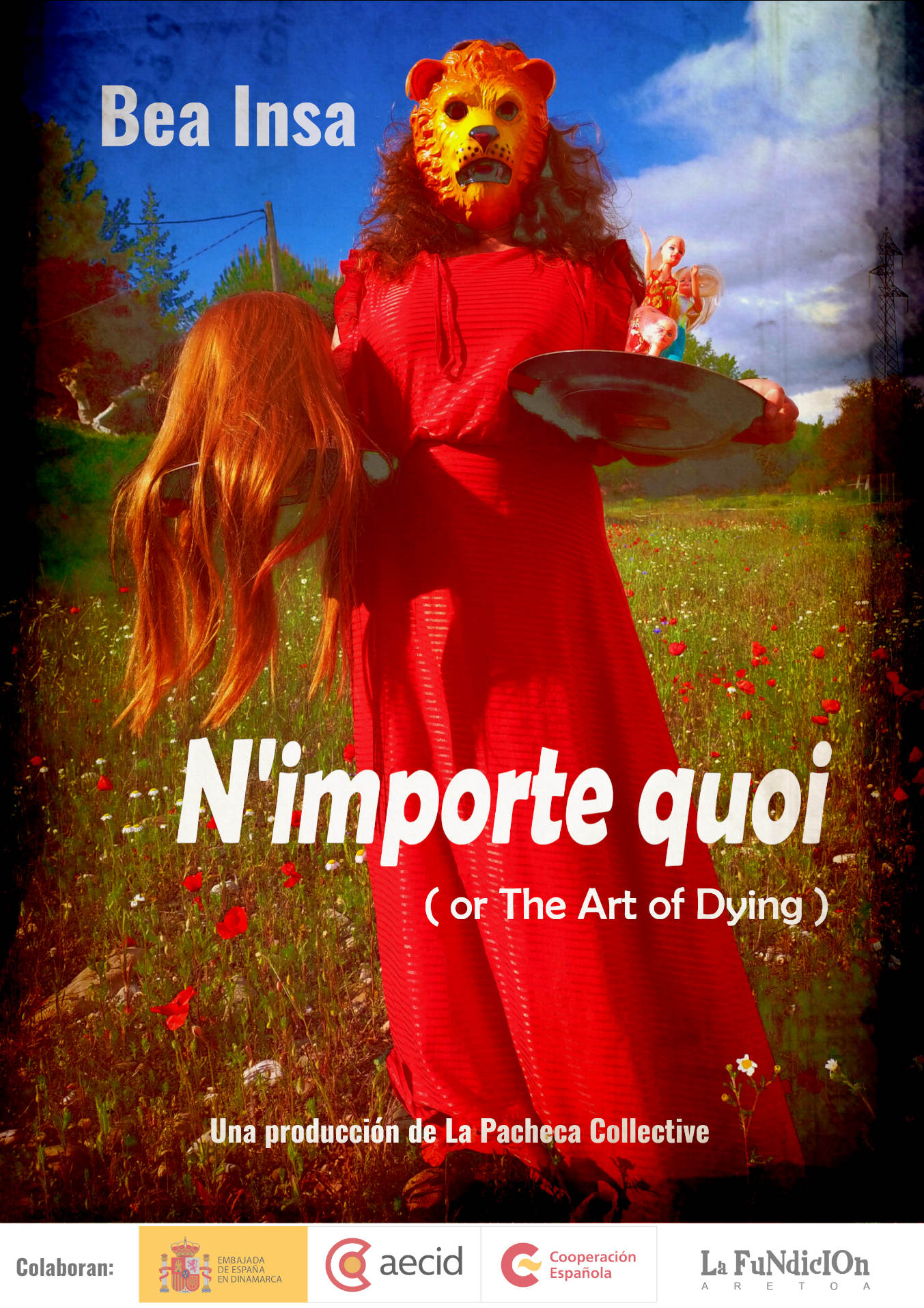 Poster Dinamarca SMALL