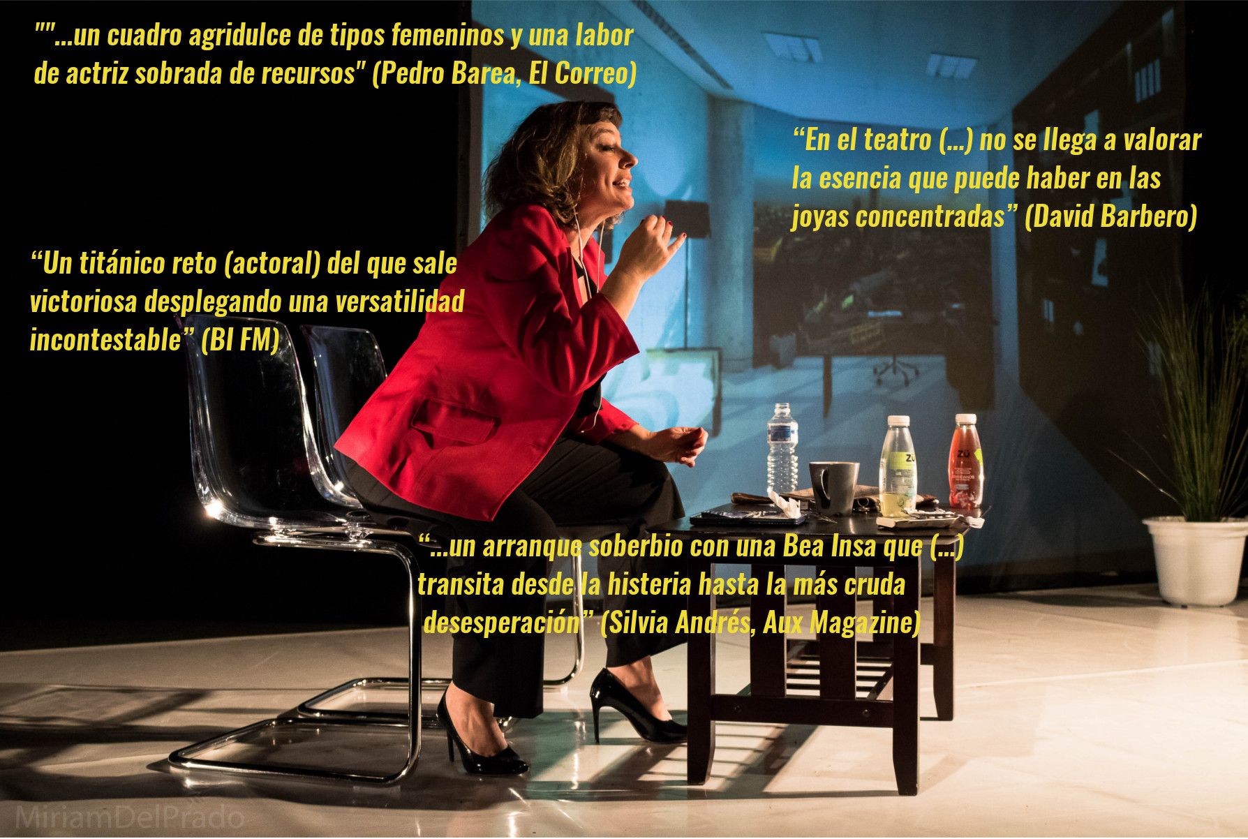 Paradigma con criticas